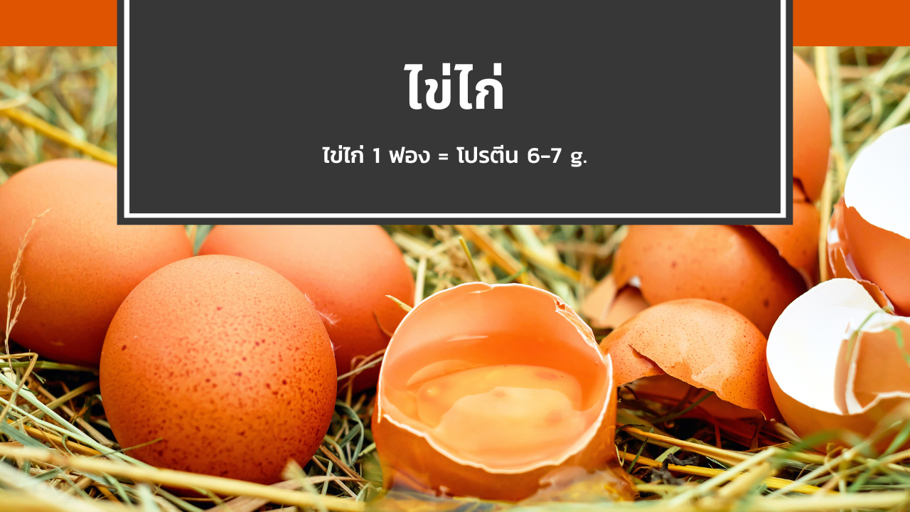 ไข่ไก่